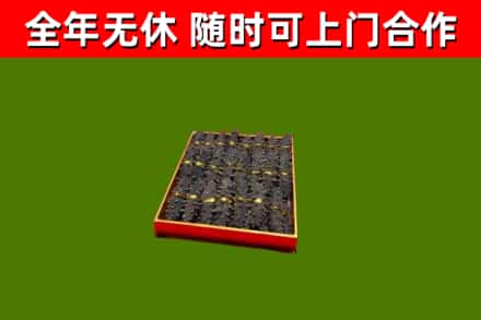 九江回收海参